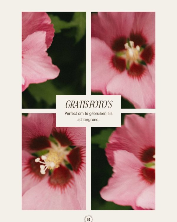 Mockup duo - Pink Floral Dreams - Image 3