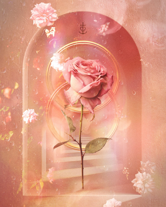 The portal of Creation